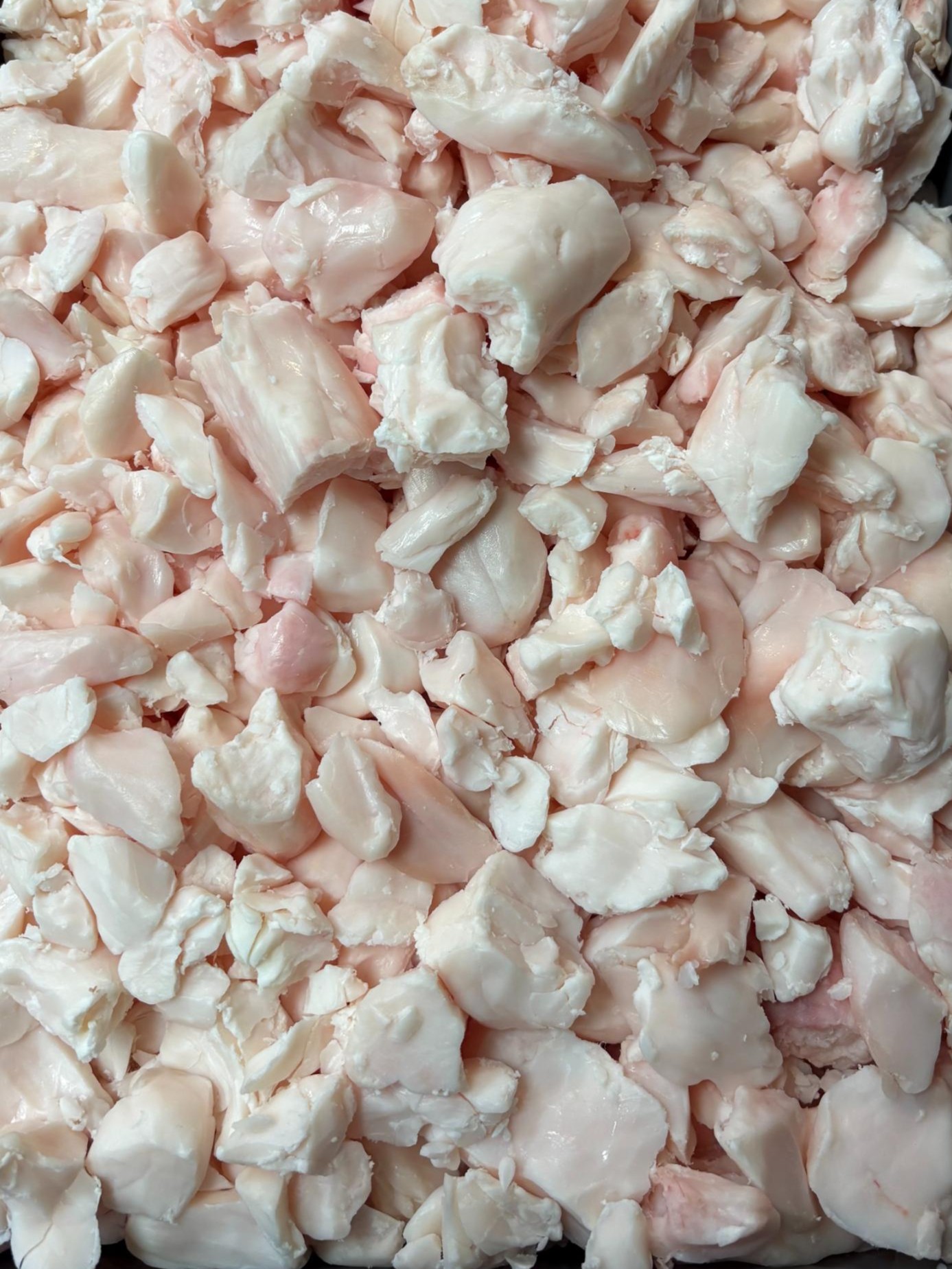 Suet cleaned and prepped for rendering