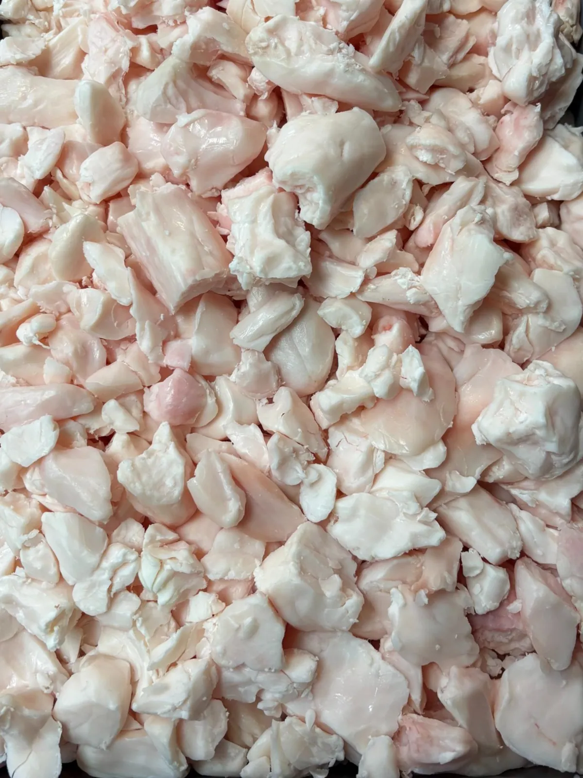 Trimmed raw beef suet prepared for slow wet-rendering into clean tallow
