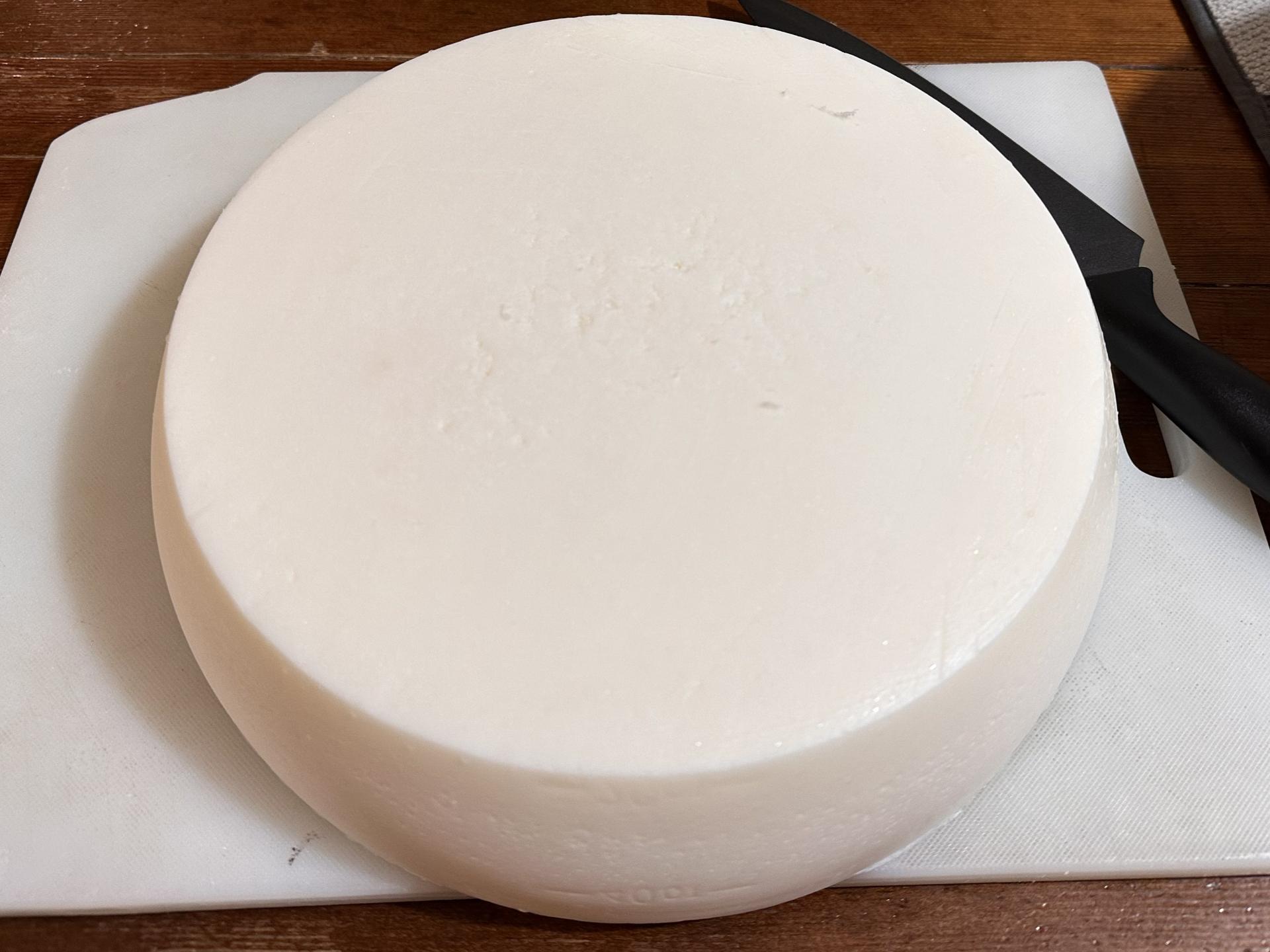 Finished beef tallow — filtered, set, and ready