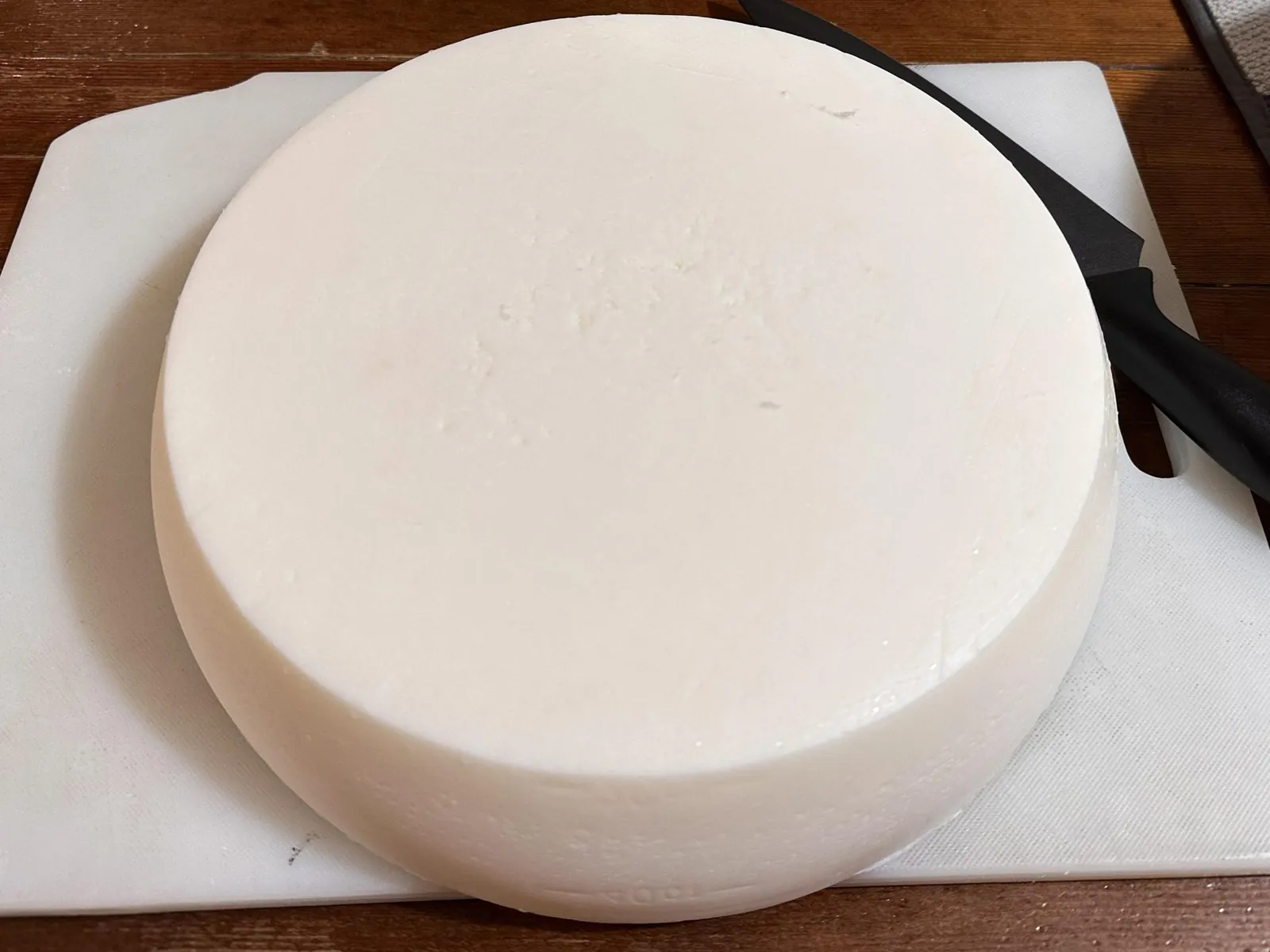 Finished wet-rendered beef tallow disk, filtered, set, and packaging-ready